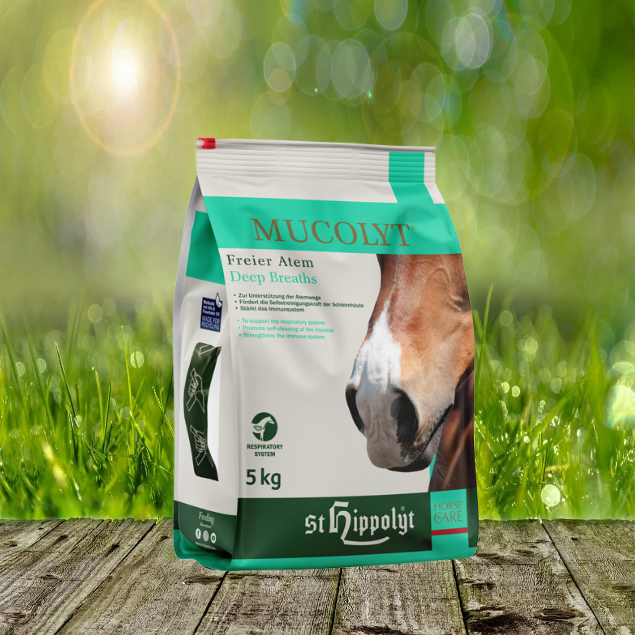 Mucolyt-5-kg-neu8r9uBIaAwHU2l St. Hippolyt Mucolyt - Freier Atem durch eine einzigartige Kräutervielfalt