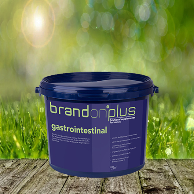 gastrointestinalAUlFPJp8BkeYo Brandon Plus Gastrointestinal 3 kg