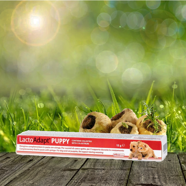 LactoAdapt PUPPY 15 g - zur Entwöhnung von Welpen - mit Kolostrum LactoAdapt PUPPY 15 g - zur Entwöhnung von Welpen - mit Kolostrum