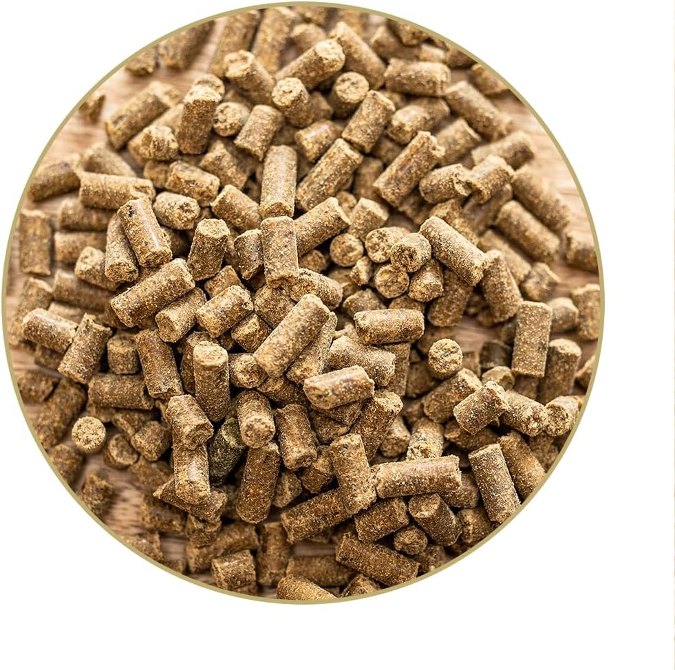 St. Hippolyt Magnesium B12 - 1 kg + St. Hippolyt Lobs Belohnungswürfel 2 x 1 kg geschenkt