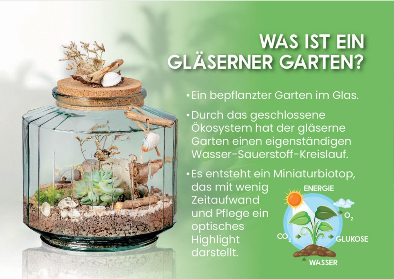 Was-ist-ein-Gl-serner-GartenmKIRGngmN6ZRG