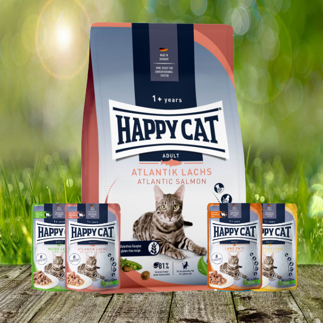 Happy Cat Culinary Adult Atlantik Lachs 10 kg plus Happy Cat 4 x Pouches geschenkt Happy Cat Culinary Adult Atlantik Lachs 10 kg plus Happy Cat 4 x Pouches geschenkt