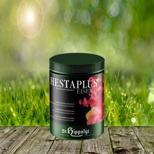 Hesta-Plus-Eisen-mit-HintergrundW0JRzrlC9feT8 St. Hippolyt Hesta Plus Eisen 1 kg