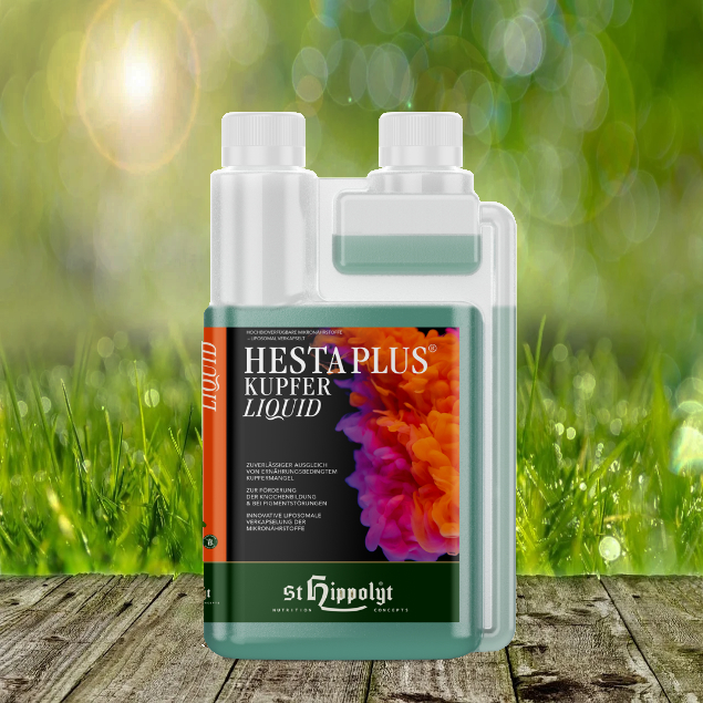 Hesta-plus-Kupfer-LiquidY9zAwwnlG51mn St. Hippolyt Hesta Plus Kupfer Liquid 1000 ml