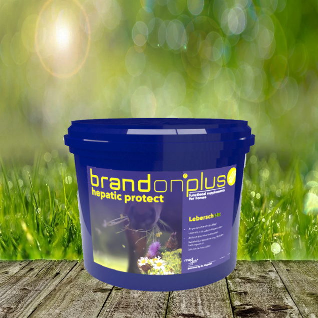 hepaticnu6JIyUeIayE9 Brandon Plus Hepatic 3 kg
