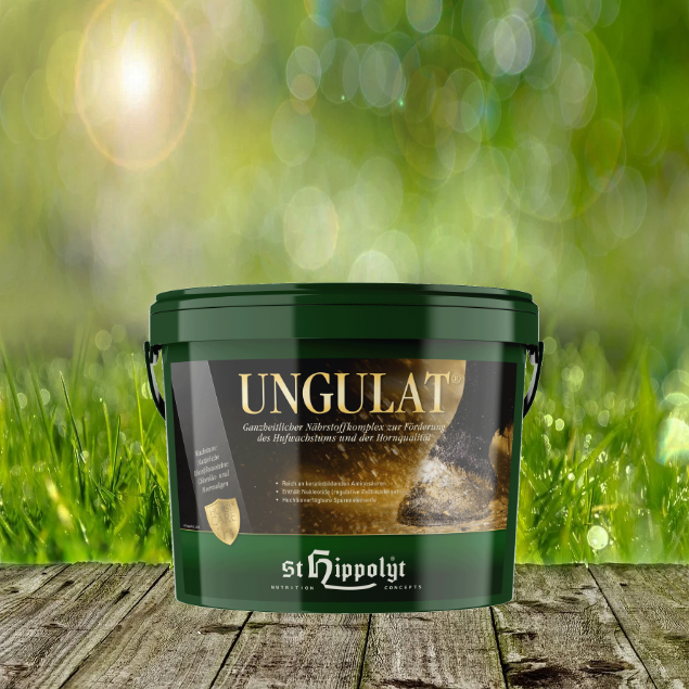 Ungulath5KlaA0cxn2Mb St. Hippolyt Ungulat Hufkur