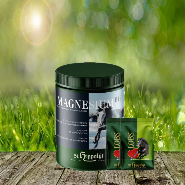 Magnesium-2-x-1-Lobs St. Hippolyt Magnesium B12 - 1 kg + St. Hippolyt Lobs Belohnungswürfel 2 x 1 kg geschenkt