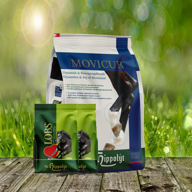 Movicur-Nachf-llpack-2-x-1-Lobs St. Hippolyt Movicur 5 kg Nachfüllpack + St. Hippolyt Lobs Belohnungswürfel 2 x 1 kg geschenkt