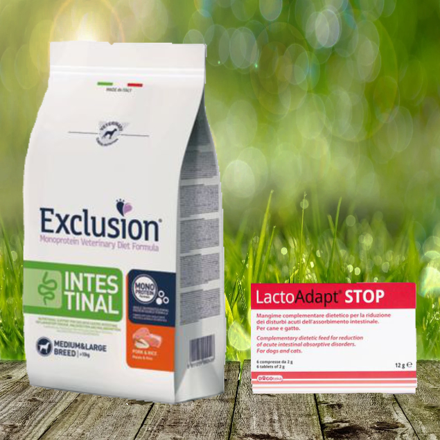 Notfallpaket für Hunde bei DURCHFALL Notfallpaket für Hunde bei DURCHFALL