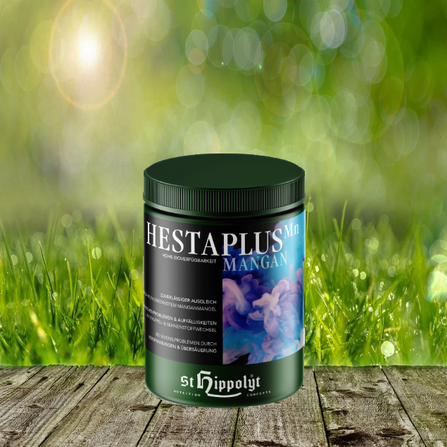 Hesta-Plus-Mangan-mit-HintergrundWGt9NMgAo5nrr St. Hippolyt Hesta Plus Mangan 1 kg