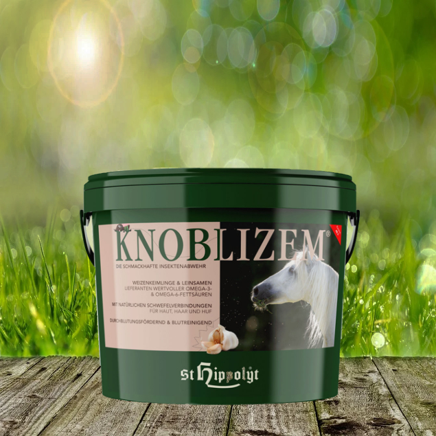 Knoblizem-neugqvRGZnoa5KFt St. Hippolyt Knoblizem Mineral - Die schmackhafte Insektenabwehr