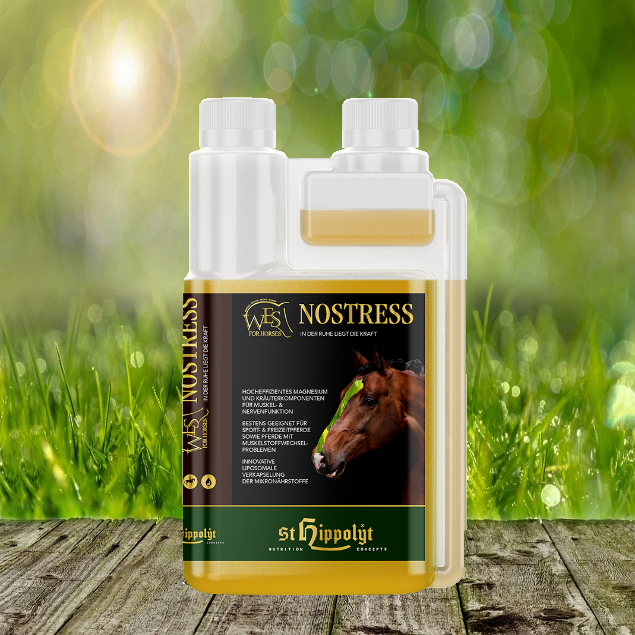 Wes-NoStressBVW1iNJQoMICf St. Hippolyt WES for Horses - WES NoStress 1000 ml - In der Ruhe liegt die Kraft