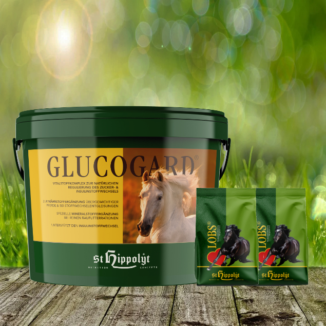 St. Hippolyt Glucogard 3 kg + St. Hippolyt Lobs Belohnungswürfel 2 x 1 kg geschenkt