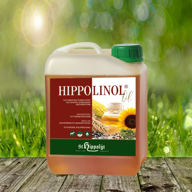 HippoLinol-Kanister St. Hippolyt Hippo Linol - Hochwertige Ölmischung aus Saaten, Keimlingen und Kräutern