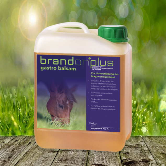 Gastro-balsam Brandon plus gastro balsam 2,5 l