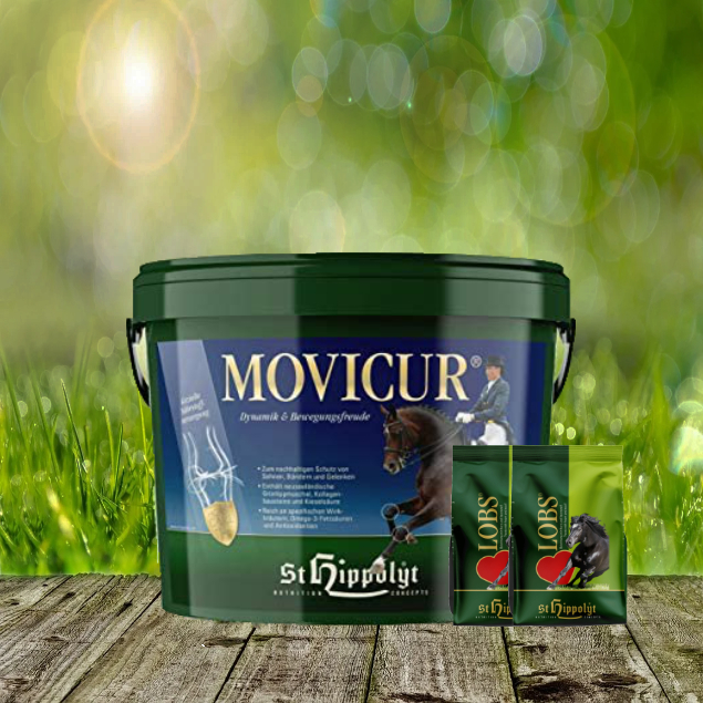 Movicur-2-x-1-Lobs St. Hippolyt Movicur 10 kg + St. Hippolyt Lobs Belohnungswürfel 2 x 1 kg geschenkt