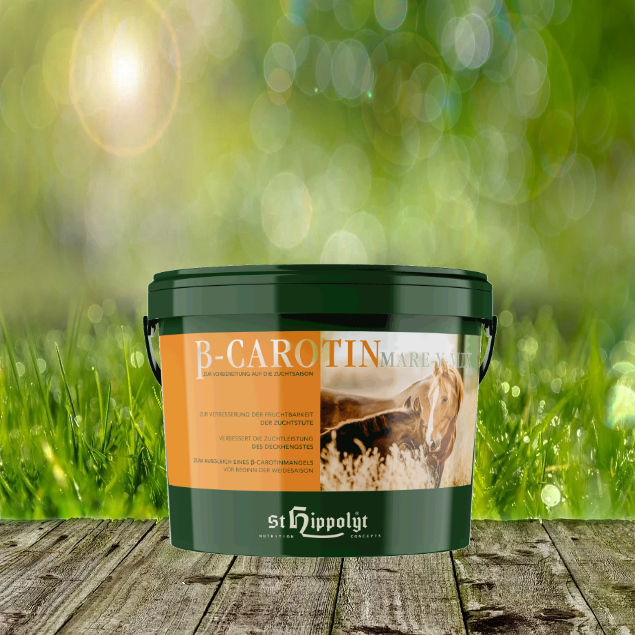 BetaCarotin-Eimer_1 St. Hippolyt Beta-Carotin Mare-Y-Mix - Zuchtpferde richtig versorgt
