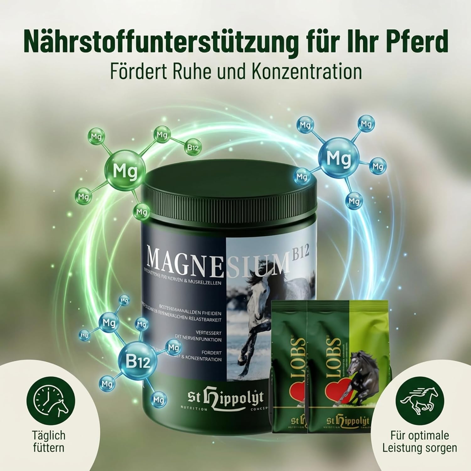 St. Hippolyt Magnesium B12 - 1 kg + St. Hippolyt Lobs Belohnungswürfel 2 x 1 kg geschenkt