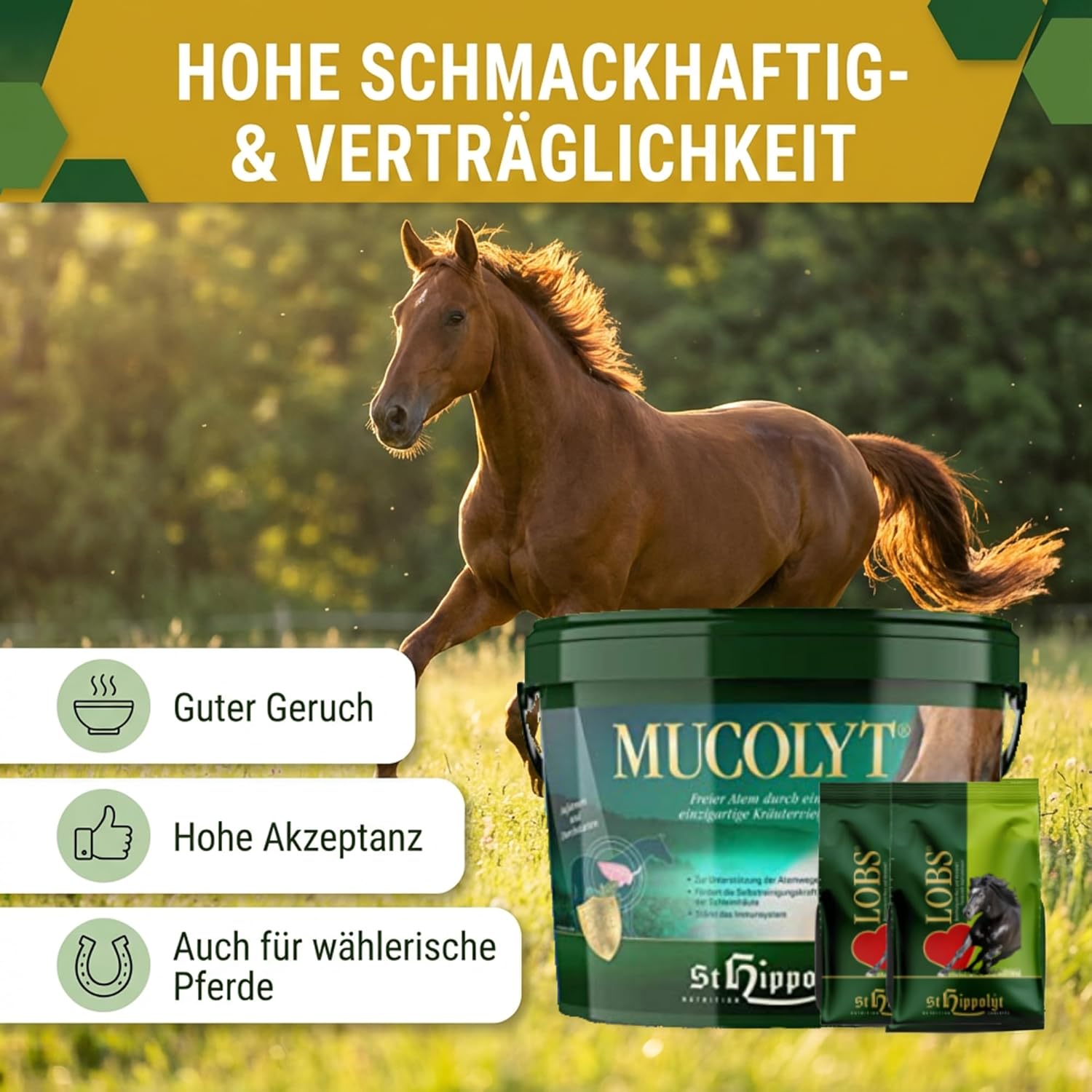 St. Hippolyt Mucolyt 10 kg + St. Hippolyt Lobs Belohnungswürfel 2 x 1 kg geschenkt