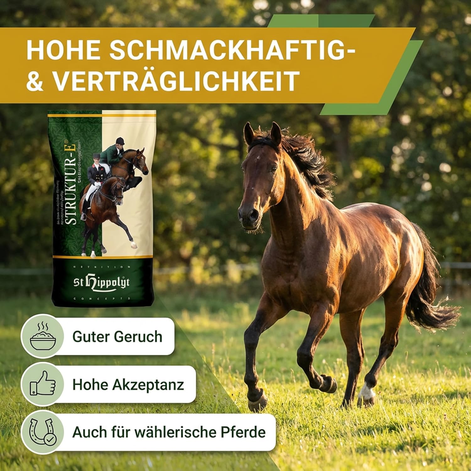 St. Hippolyt Struktur Energetikum 20 kg + St. Hippolyt Lobs Belohnungswürfel 2 x 1 kg geschenkt
