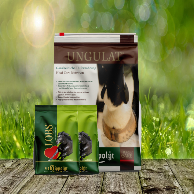 Ungulat-Nachf-llpack-2-x1-Lobs St. Hippolyt Ungulat Hufkur 5 kg Nachfüllpack + St. Hippolyt Lobs Belohnungswürfel 2 x 1 kg geschenkt