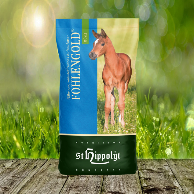 Fohlengold-neulePcqdKcw0OnI St. Hippolyt Fohlengold Müsli 20 kg