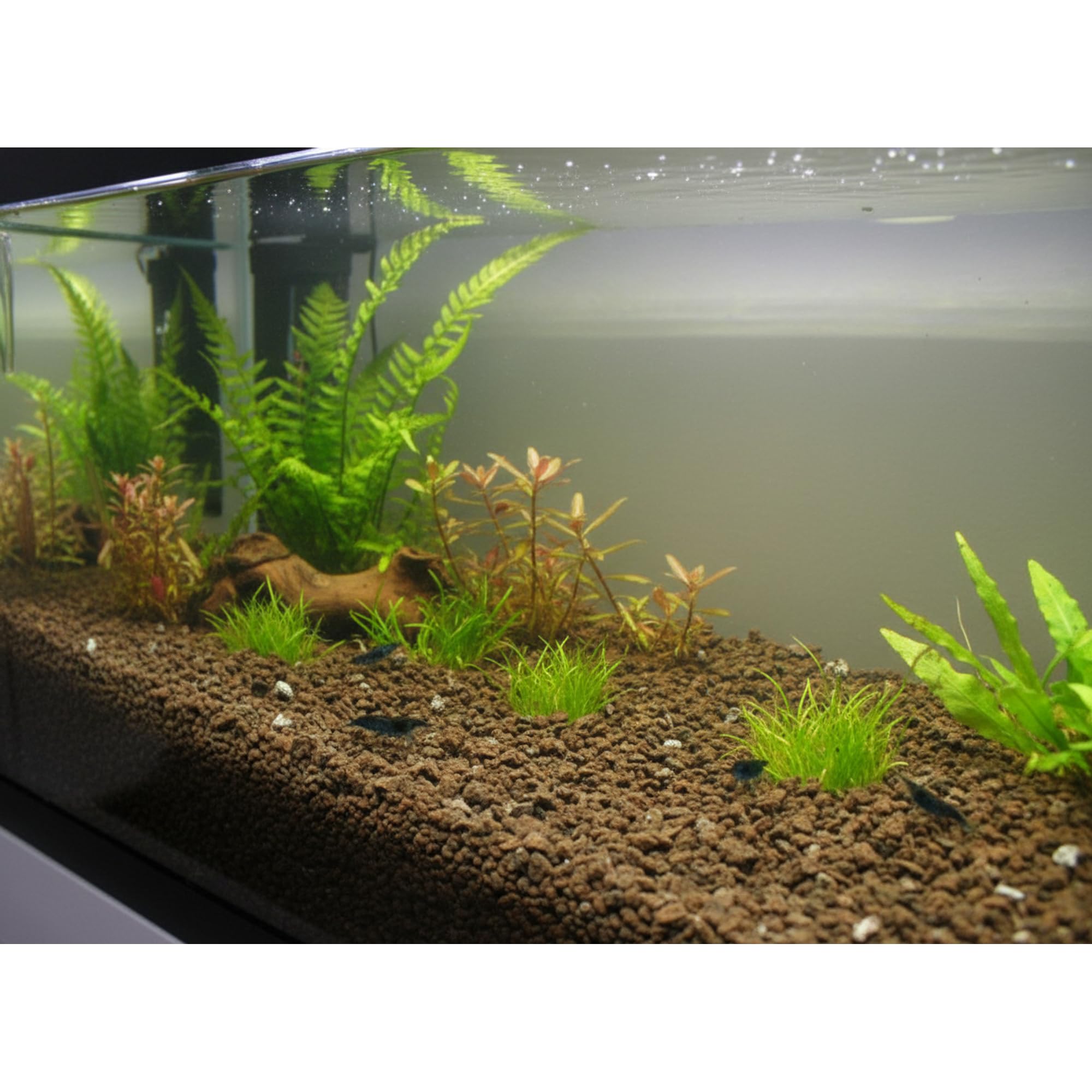 Lava Mulch 8 - 16 mm 12,5 kg (ca. 12,5 L)