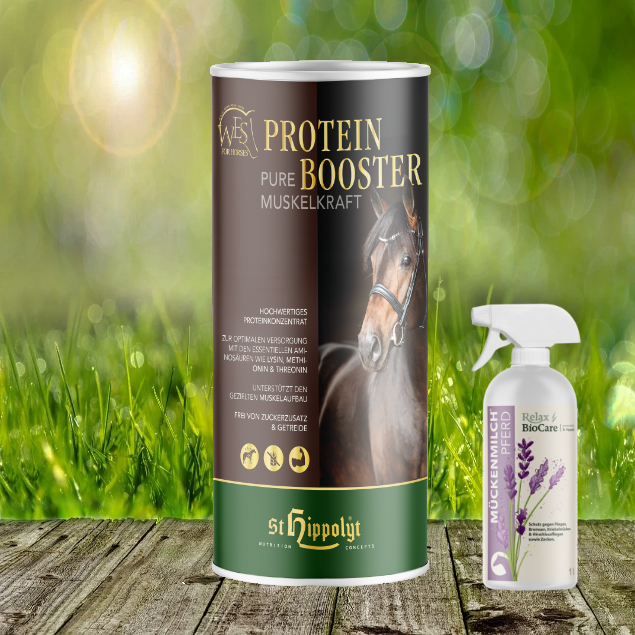 St. Hippolyt WES for Horses - Protein Booster 0,75 kg + Relax Biocare Mückenmilch 500 ml St. Hippolyt WES for Horses - Protein Booster 0,75 kg + Relax Biocare Mückenmilch 500 ml