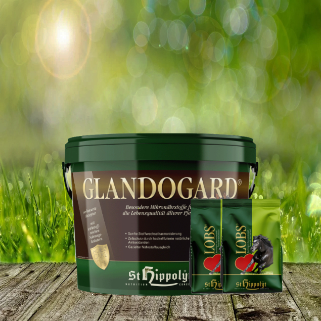 Glandogard-2-x-1-Lobs St. Hippolyt Glandogard 3,75 kg + St. Hippolyt Lobs Belohnungswürfel 2 x 1 kg geschenkt