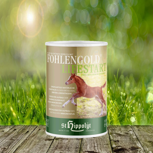 LifeStart St. Hippolyt Fohlengold Lifestart 100 gr.