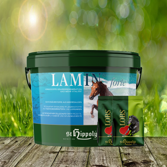 Lamin-Forte-2-x-1-LobsLJhBMYXoJyM1v St. Hippolyt Lamin Forte 3 kg + St. Hippolyt Lobs Belohnungswürfel 2 x 1 kg geschenkt