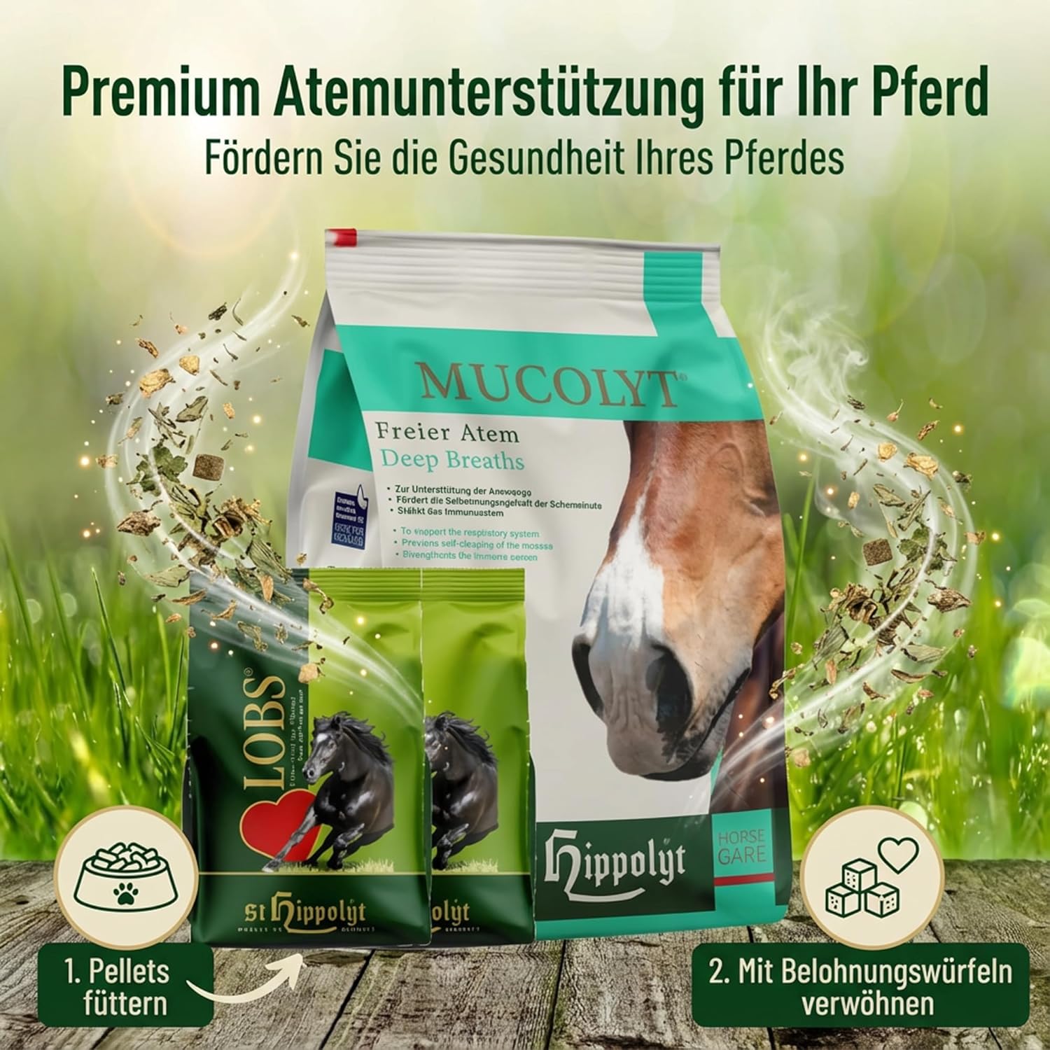 St. Hippolyt Mucolyt 5 kg Nachfüllpack + St. Hippolyt Lobs Belohnungswürfel 2 x 1 kg geschenkt