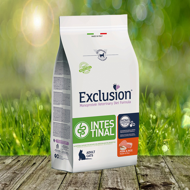 Exclusion Intestinal Cat Schwein & Reis 1,5 kg