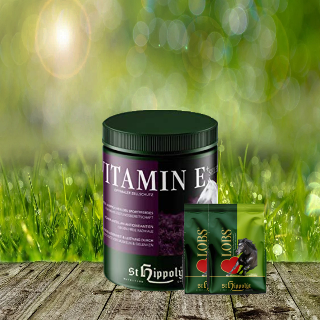 Vitamin-E-2-x-1-Lobs St. Hippolyt Vitamin E plus Selen 1 kg + St. Hippolyt Lobs Belohnungswürfel 2 x 1 kg geschenkt