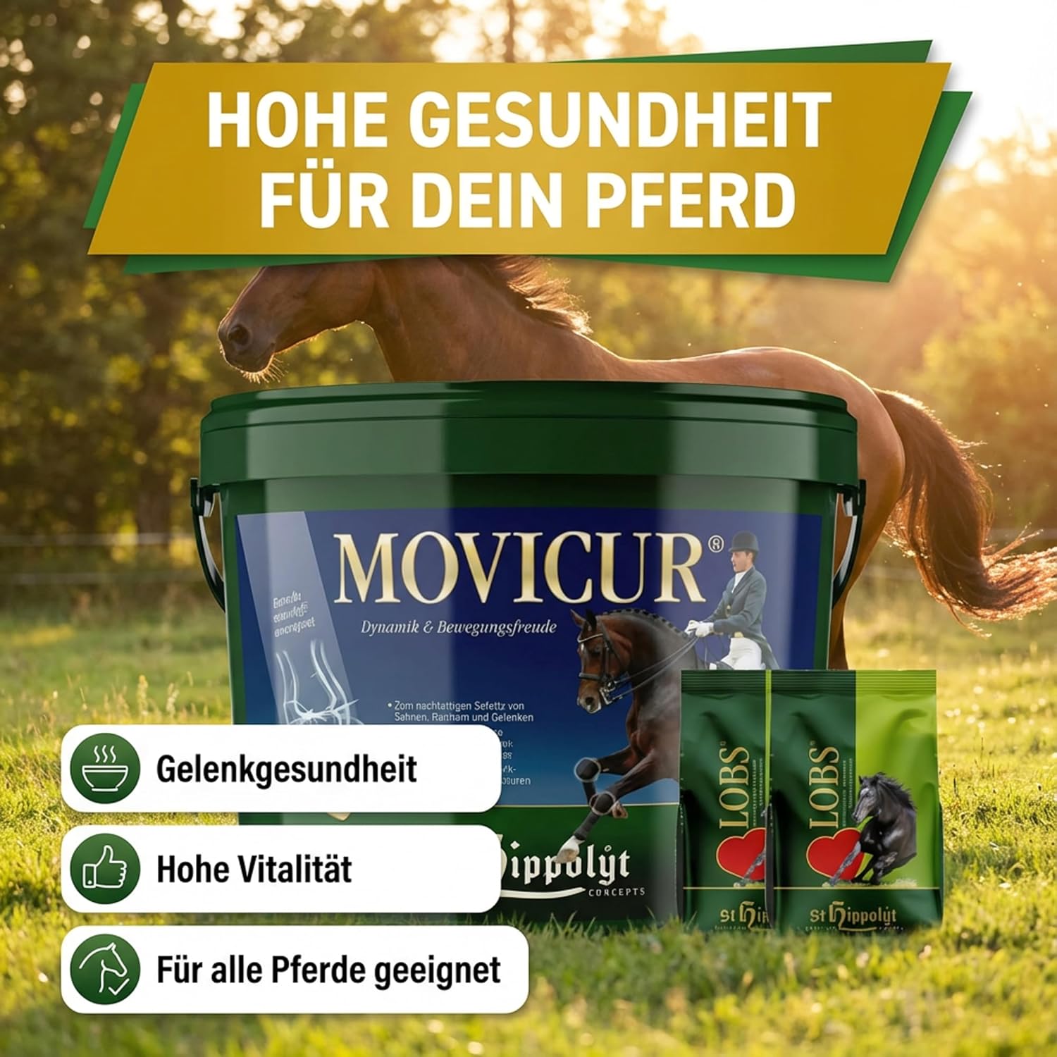 St. Hippolyt Movicur 10 kg + St. Hippolyt Lobs Belohnungswürfel 2 x 1 kg geschenkt