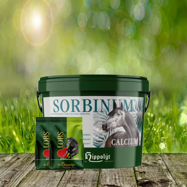 Sorbinum-Calcium-2-1-x-Lobs St. Hippolyt Sorbinum Calcium 10 kg + St. Hippolyt Lobs Belohnungswürfel 2 x 1 kg geschenkt