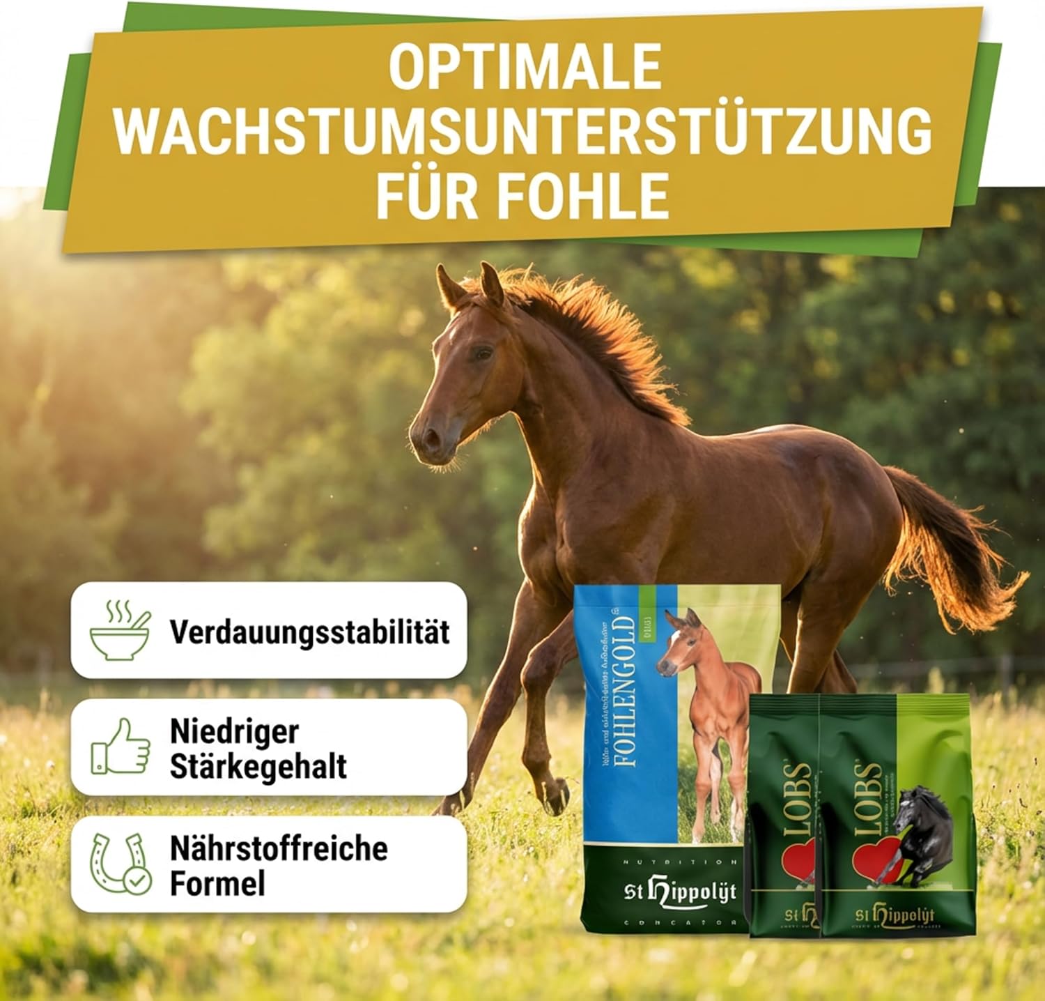 St. Hippolyt Fohlengold Müsli 20 kg + St. Hippolyt Lobs Belohnungswürfel 2 x 1 kg geschenkt