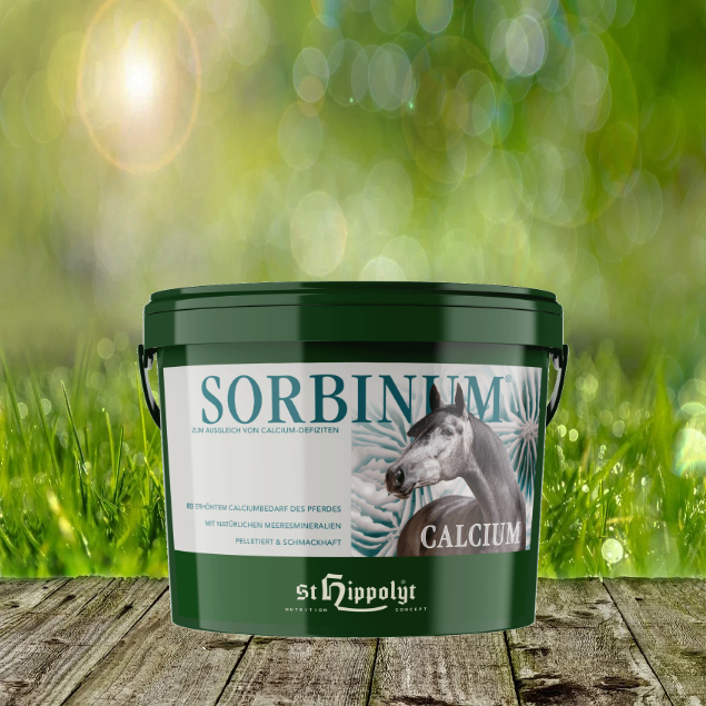 Sorbinum-CalciumcrjTY6KGw56md St. Hippolyt Sorbinum Calcium - Zum Ausgleich von Calcium-Defiziten