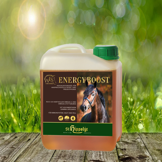 WES-Energy-Boost-mit-HintergrundhfHKL6iz6usxi St. Hippolyt WES for Horses - Energy Boost 5 Liter
