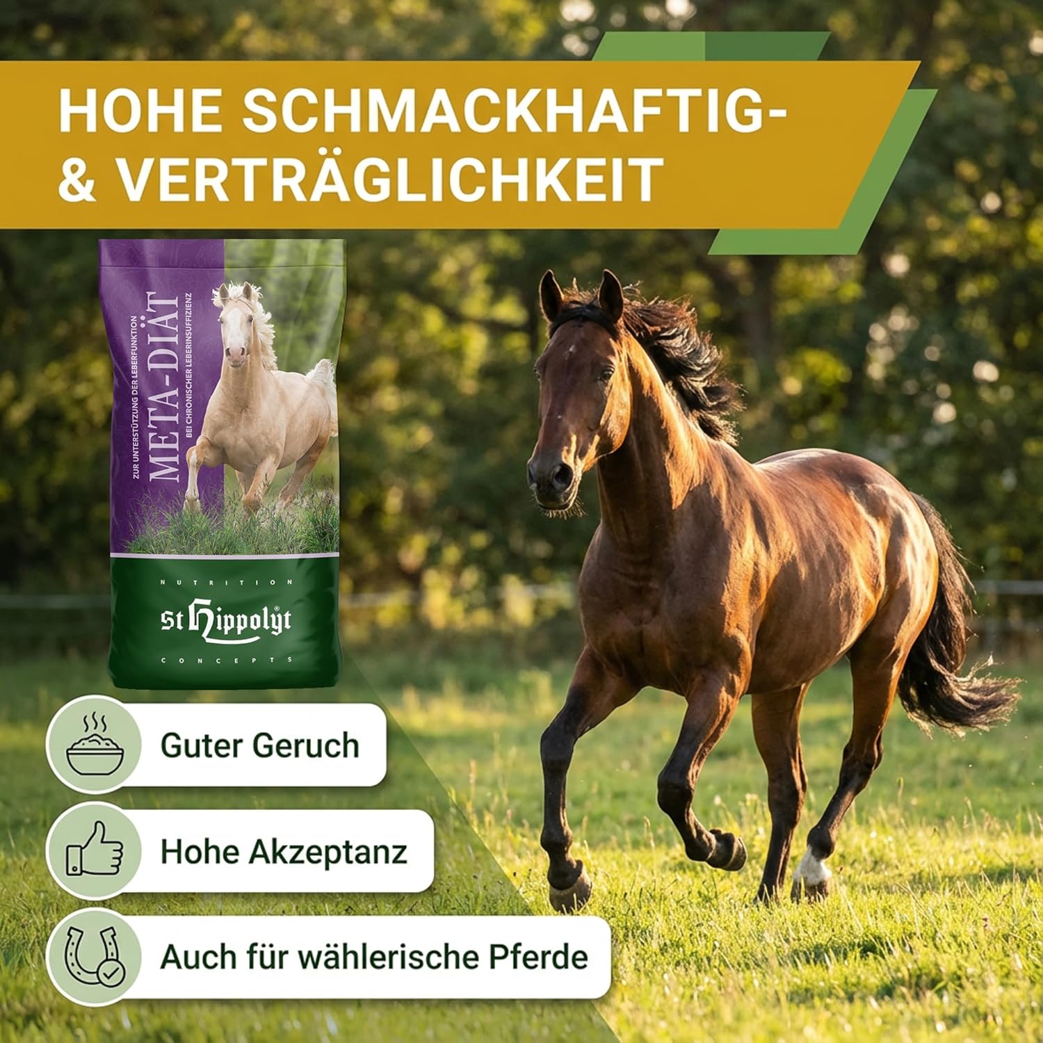 St. Hippolyt Meta-Diät 25 kg + St. Hippolyt Lobs Belohnungswürfel 2 x 1 kg geschenkt