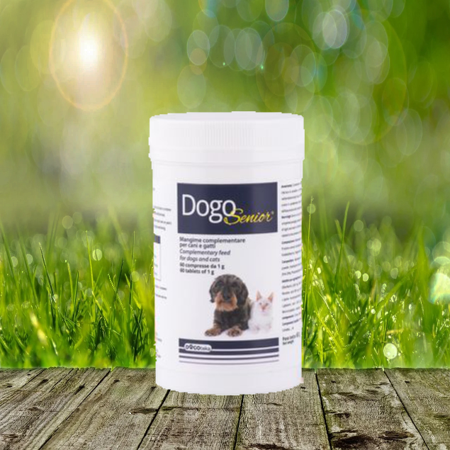 DogoSenior 60 Stück - stärkt das Immunsystem - Zum Einführungspreis