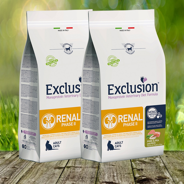 Exclusion Renal Cat Schwein, Erbse & Reis Phase I 2 x 1,5 kg