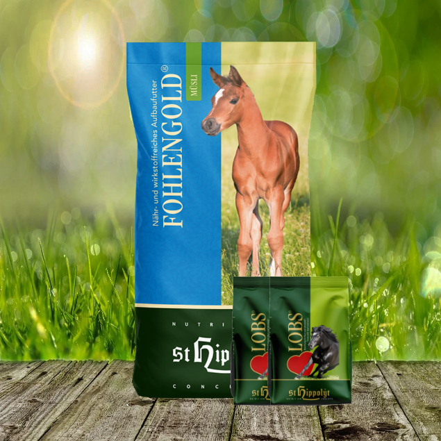 Fohlengold-2-x-1-Lobs St. Hippolyt Fohlengold Müsli 20 kg + St. Hippolyt Lobs Belohnungswürfel 2 x 1 kg geschenkt