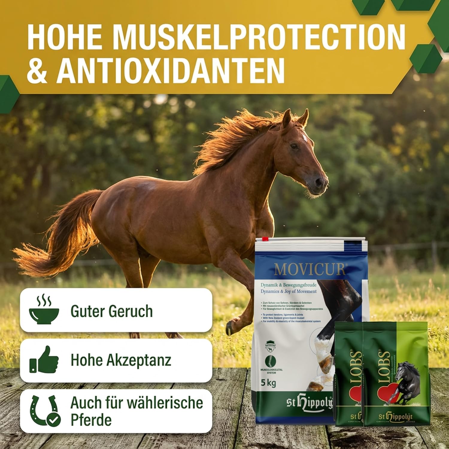 St. Hippolyt Movicur 5 kg Nachfüllpack + St. Hippolyt Lobs Belohnungswürfel 2 x 1 kg geschenkt