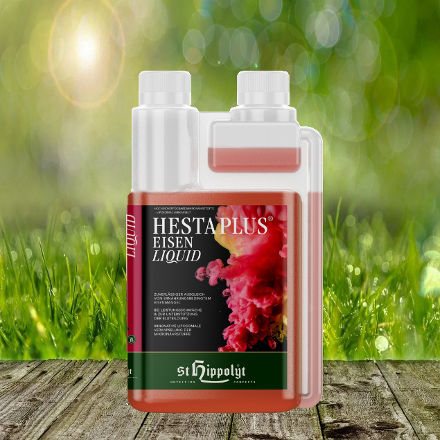 Hesta-plus-Eisen-LiquidqNwvTqNBHERPr St. Hippolyt Hesta Plus Eisen Liquid 1000 ml