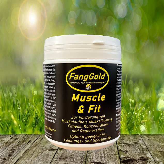 FangGold Muscle & Fit 400 g - zur Förderung von Muskelaufbau, Fitness und Regeneration - Einführungspreis FangGold Muscle & Fit 400 g - zur Förderung von Muskelaufbau, Fitness und Regeneration - Einführungspreis