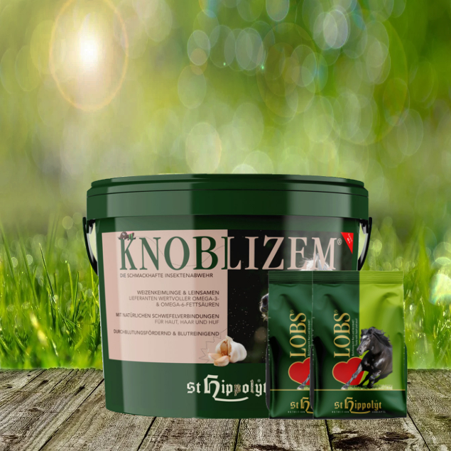 Knoblizem-2-x-1-Lobs St. Hippolyt Knoblizem Mineral 10 kg + St. Hippolyt Lobs Belohnungswürfel 2 x 1 kg geschenkt