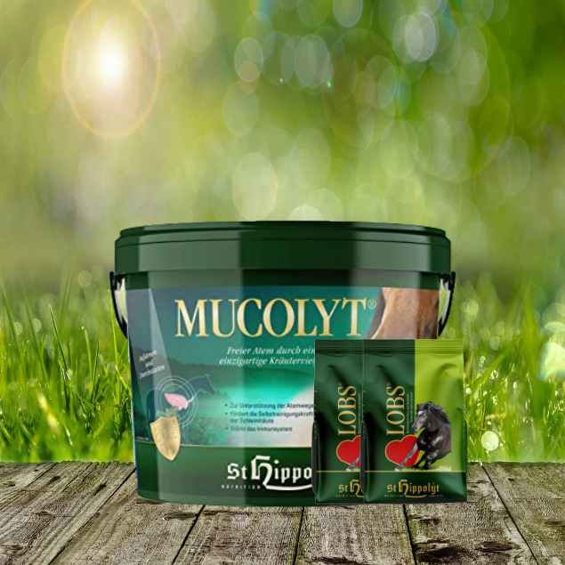 Mucolyt-2-x-1-Lobs St. Hippolyt Mucolyt 10 kg + St. Hippolyt Lobs Belohnungswürfel 2 x 1 kg geschenkt
