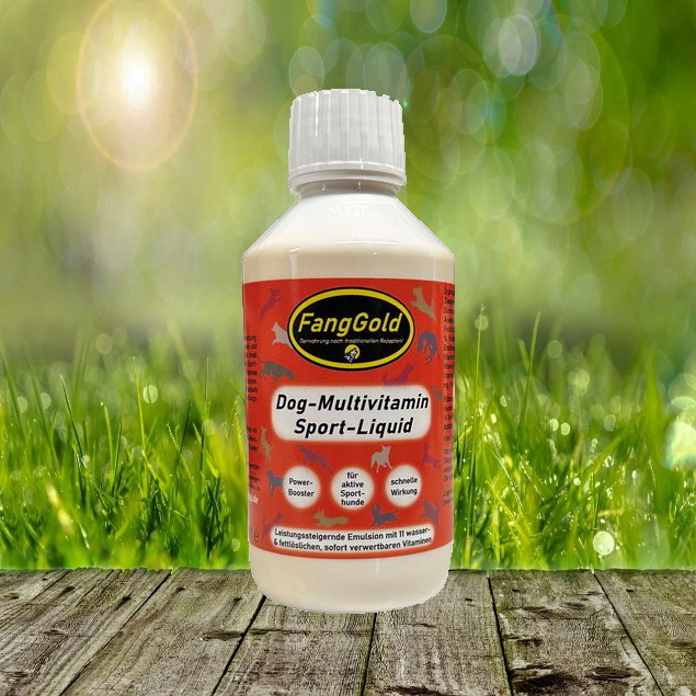 FangGold Dog Multivitamin Sport Liquid 250 ml - Powerbooster für aktive Sporthunde - Einführungspreis FangGold Dog Multivitamin Sport Liquid 250 ml - Powerbooster für aktive Sporthunde - Einführungspreis