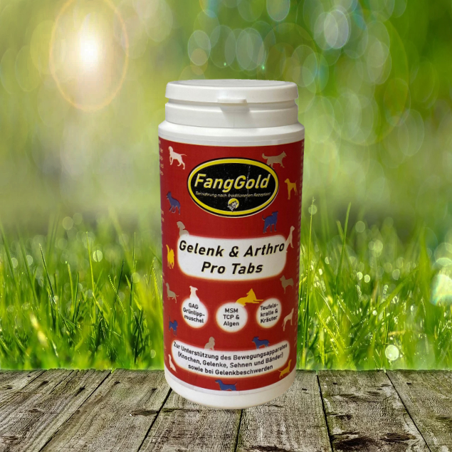 FANGGOLD Gelenk & Arthro pro Tabs 250 g (ca. 125 Stück)